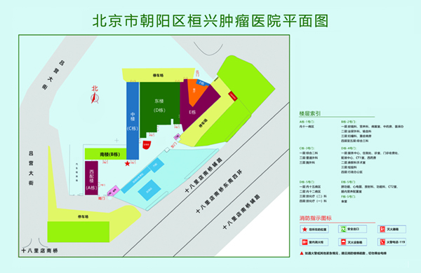 日骚逼网站北京市朝阳区桓兴肿瘤医院平面图